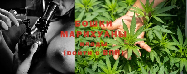 амфетамин Богданович